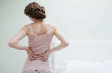 5 Loại cây chữa bệnh đau lưng hiệu quả