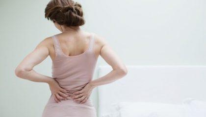 5 Loại cây chữa bệnh đau lưng hiệu quả