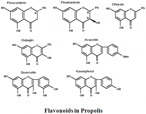 Flavonoid và những tác dụng sinh học